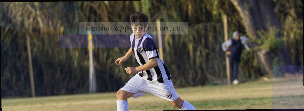 从条目采集、字段填写到分类校对与归档的三段流程剖面示意图，节点为方形色块